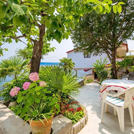 Mit Terrasse Apartment